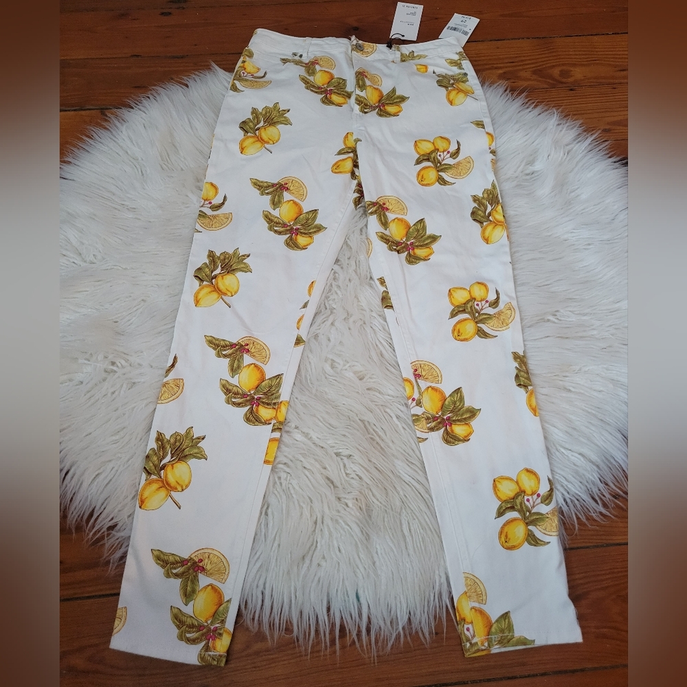 NWT Lemon 🍋 pattern jeans ONE of a kind! Size 29 Womens G014